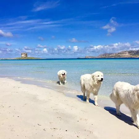 Vista Mare Palau